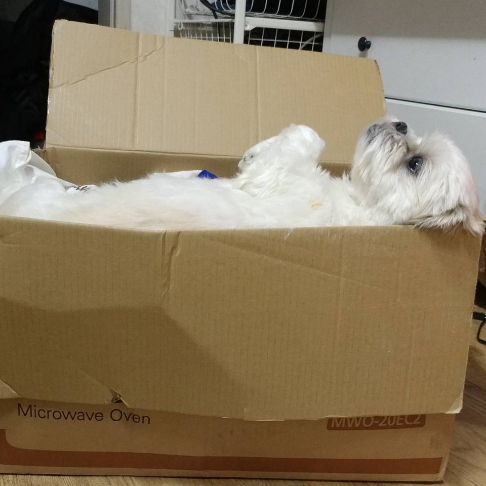 KakaoTalk_20170830_102759479.jpg