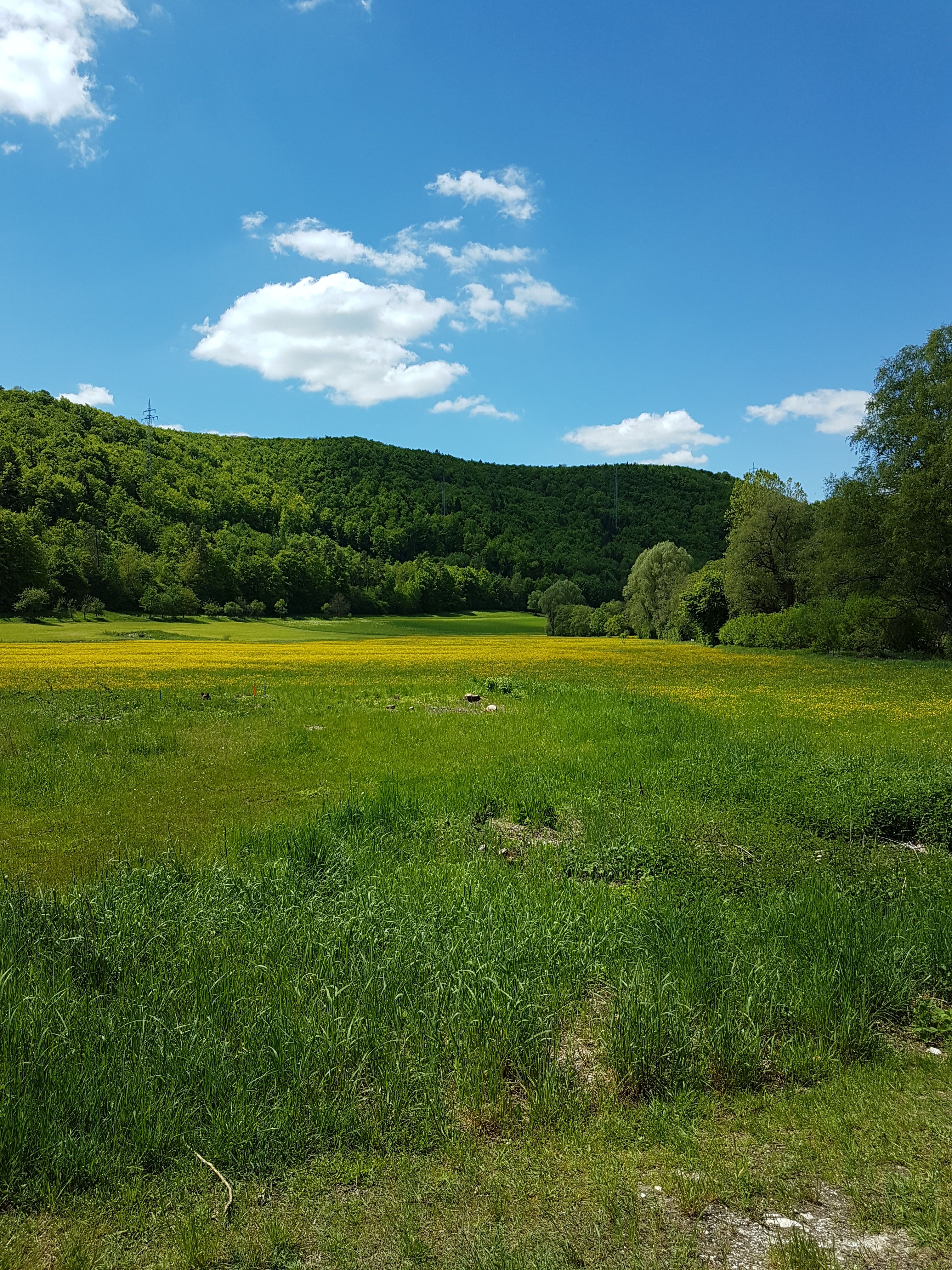 20170521_141025.jpg