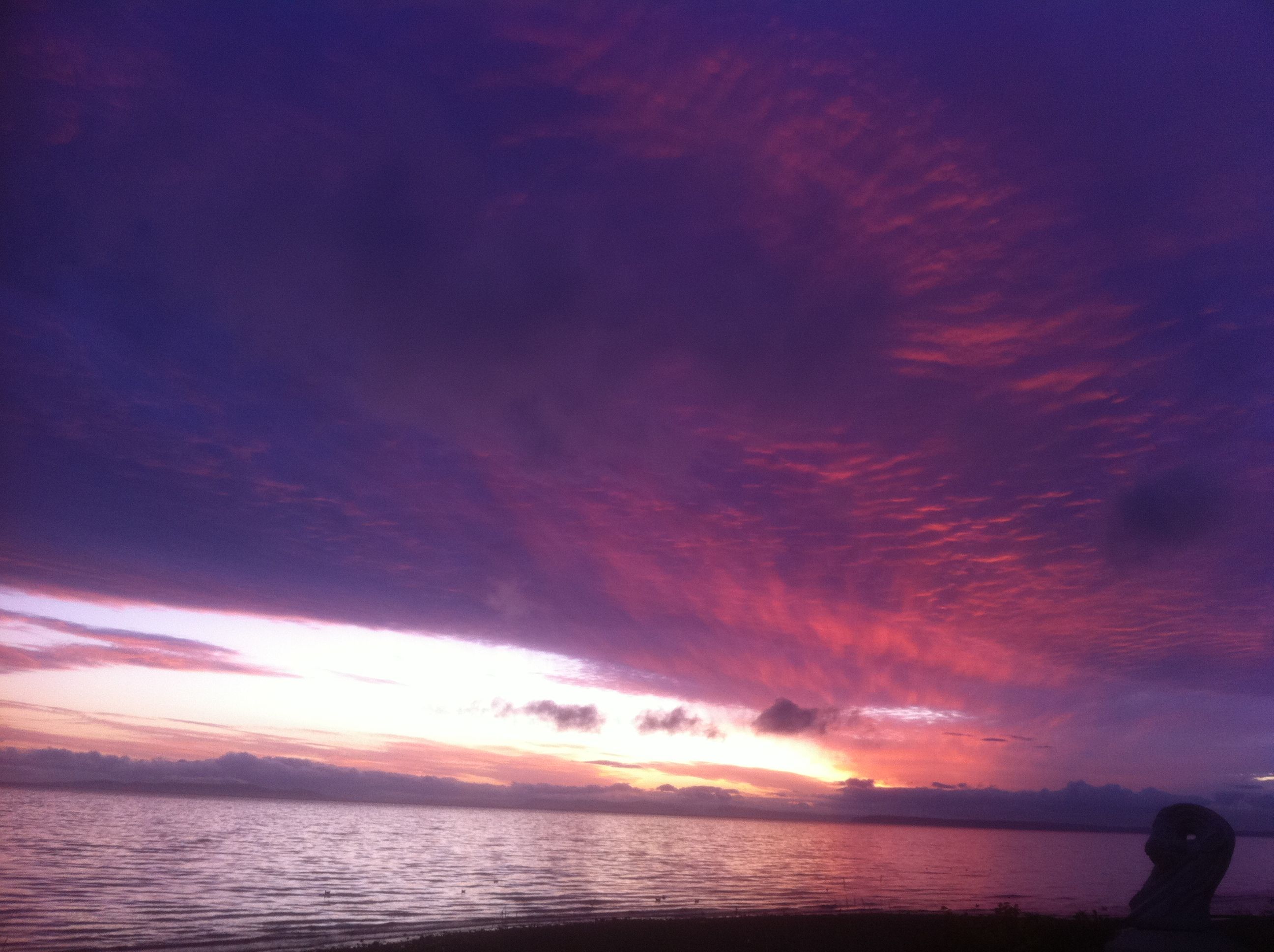 iphone pics added nov. 24 156.JPG