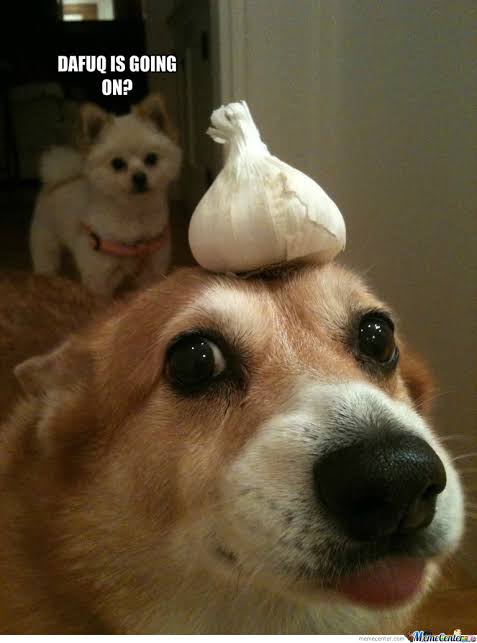 ggimages.jpg