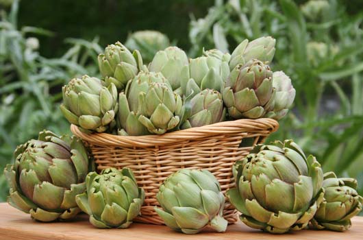 Chef-Talk-How-to-Make-Artichokes-Like-a-Pro-MainPhoto.jpg