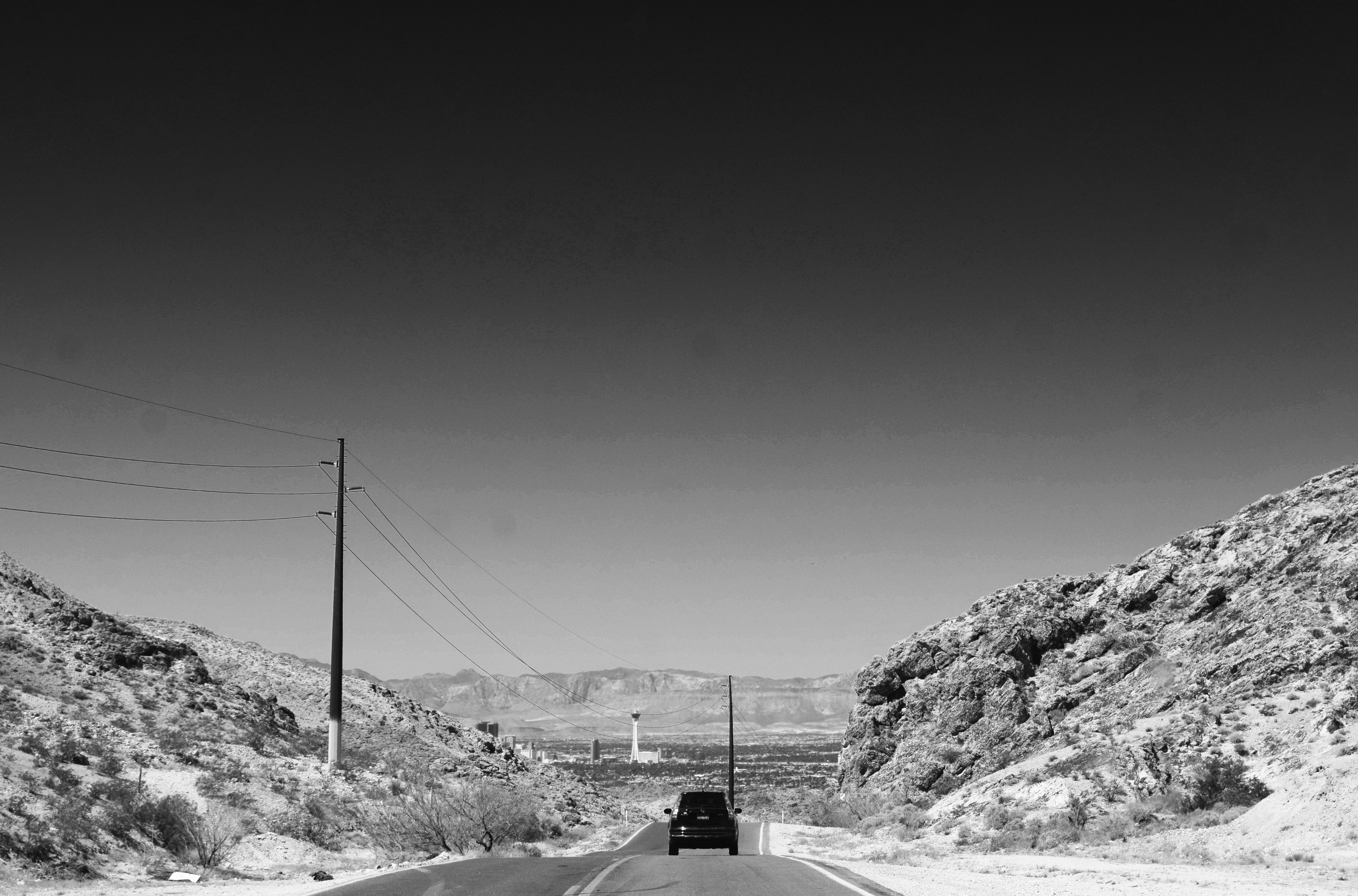 DSC_0335.jpg