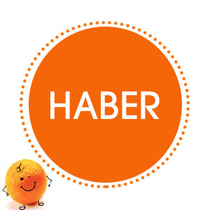 spanish-lesson-verb-haber.jpg