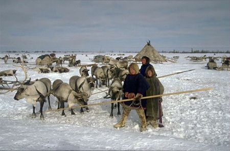 سكان القطب الشمالي La Population De L Arctique Steemit