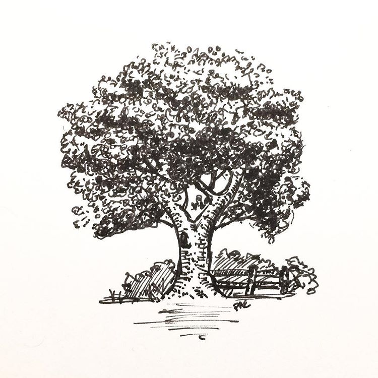 tree_doodle_2.jpg