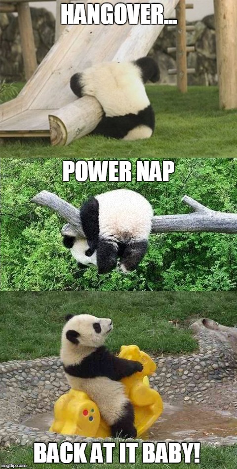Panda meme.jpg