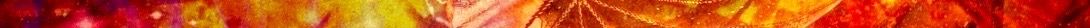 wizard-dragon-flames-cursive-multi-blend (6).jpg