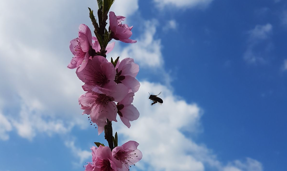Bildschirmfoto 2018-05-09 um 22.48.31.png