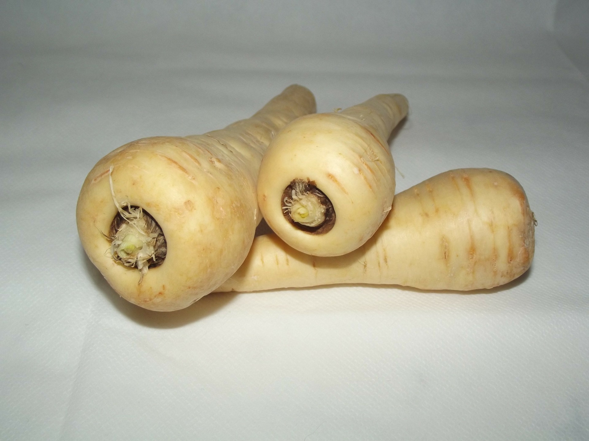 parsnip-20320_1920.jpg