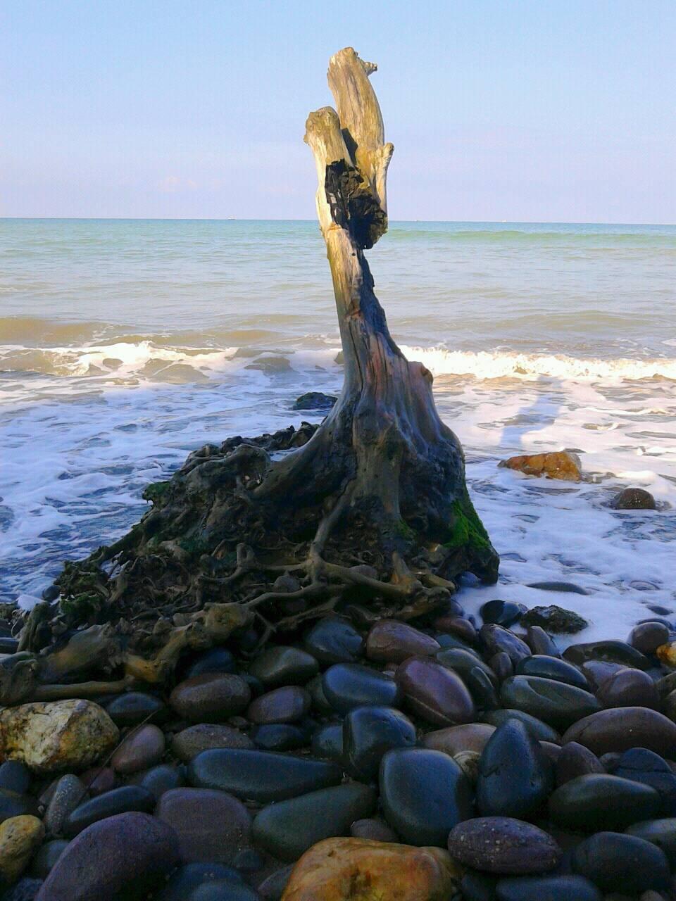 Fishing April 20 2.jpg