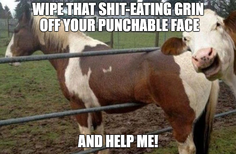 horsecow.jpg