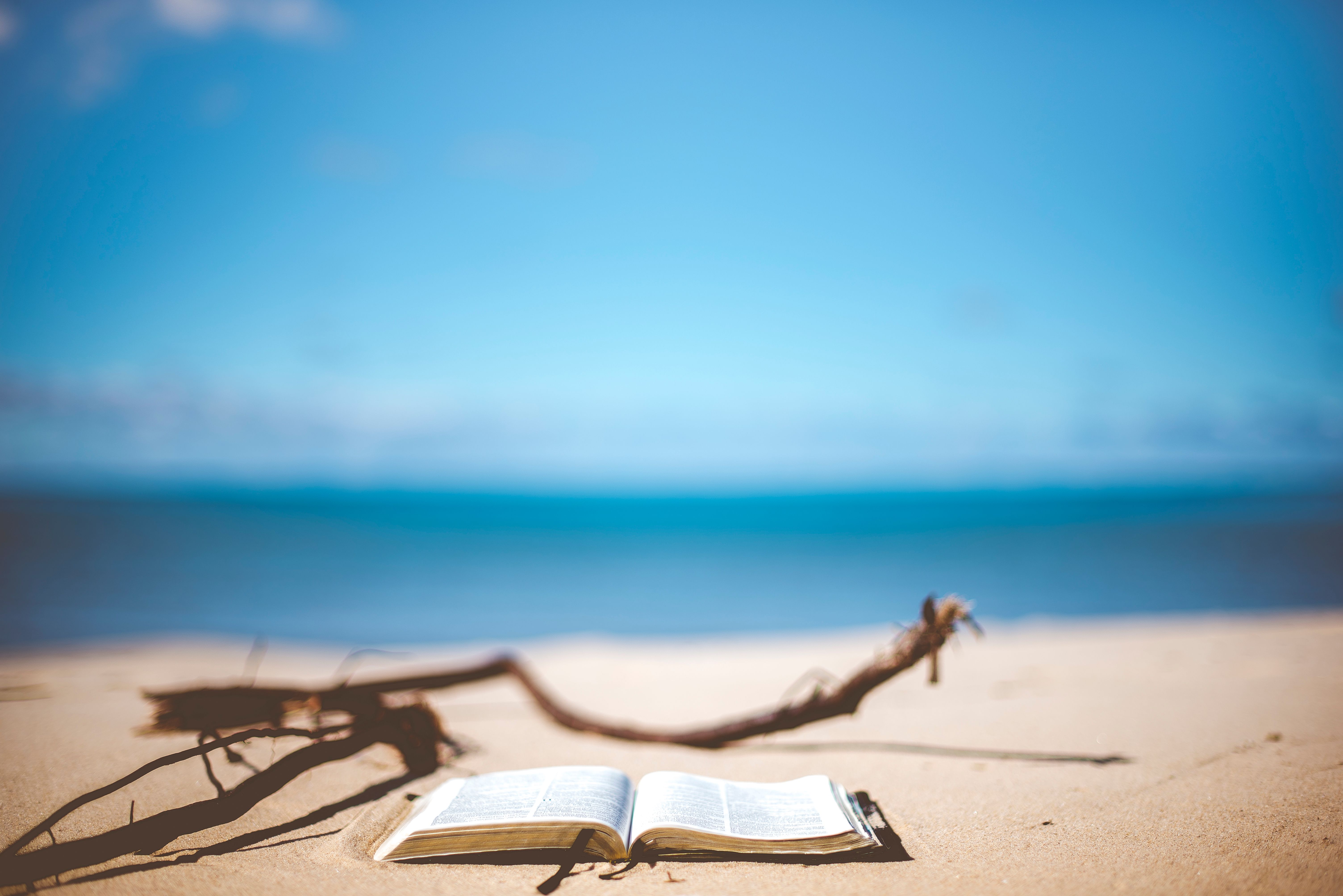 My summer book. Книга на берегу моря. Чтение на море. Чтение на пляже. Книга море.