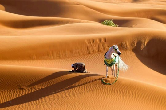 Arabian Desert 2.jpg