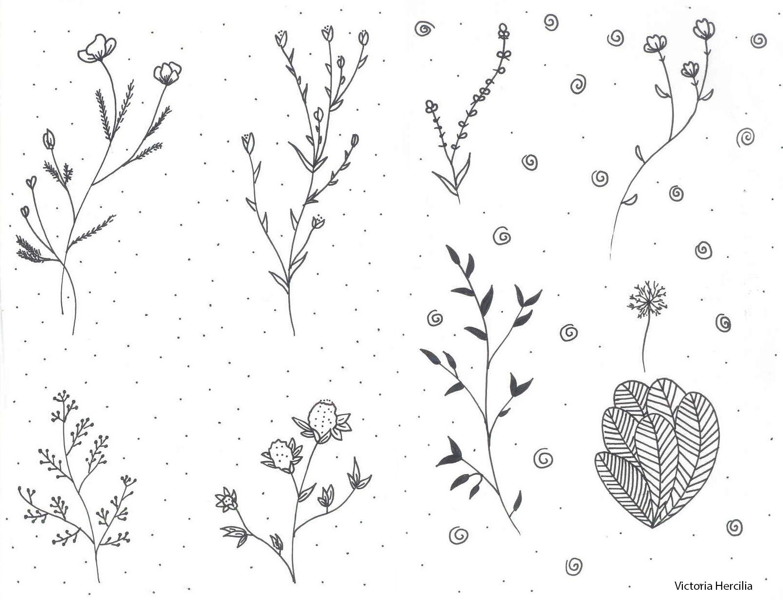 Crecer como Plantas ♡ (Estilógrafos, Tinta, Dibujos y Crecimiento Personal)  — Steemit