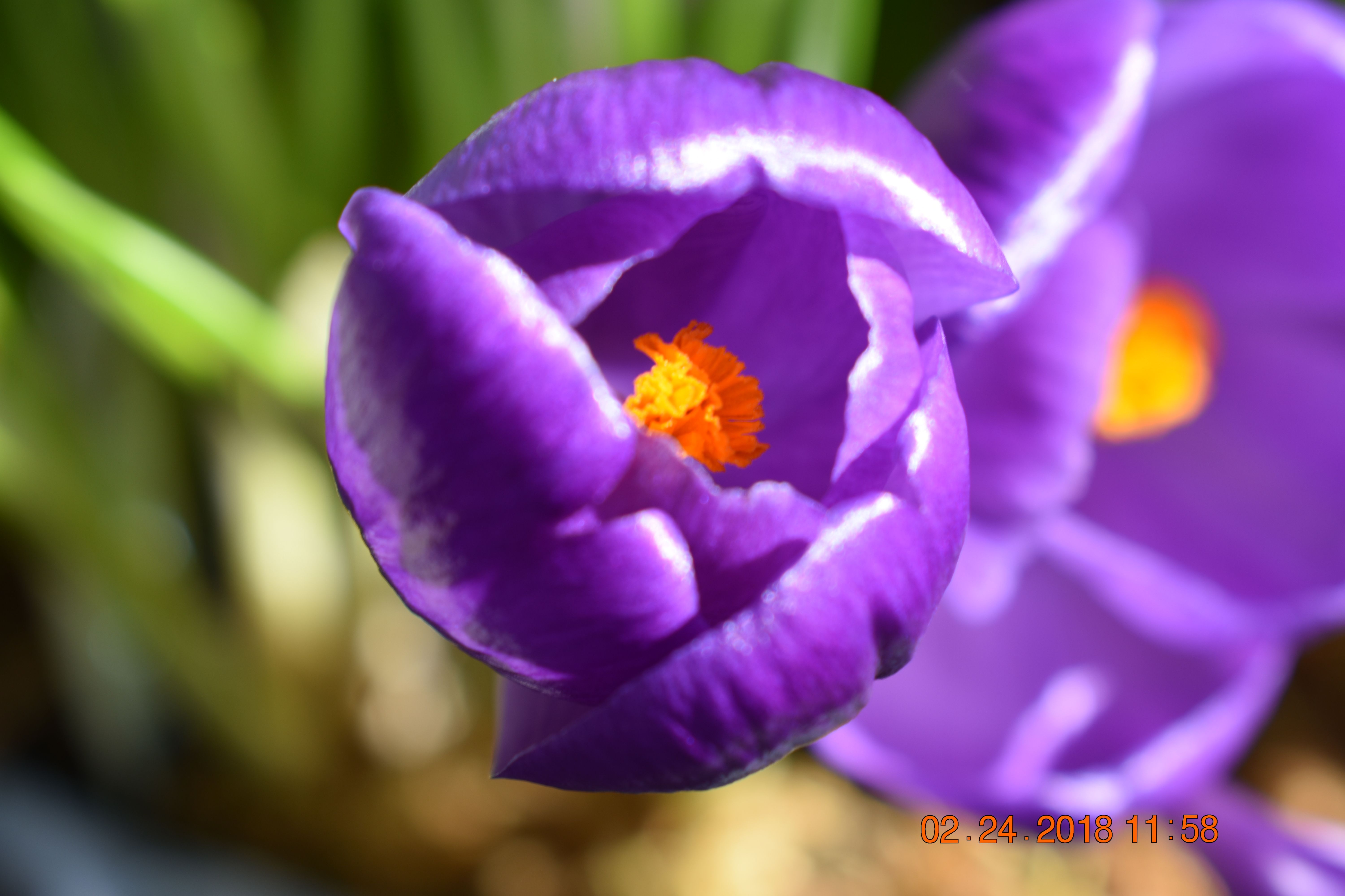 DSC_0571.JPG