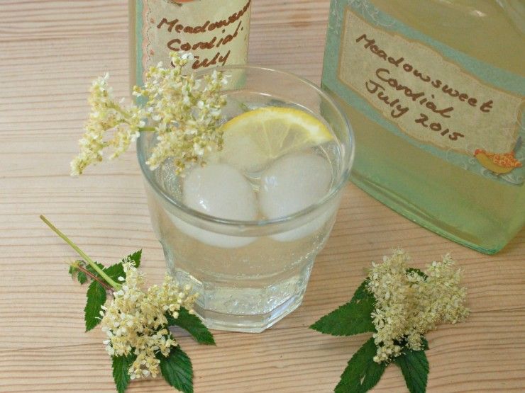 Delicious-Fragrant-Meadowsweet-Cordial-30DaysWild-740x555.jpg