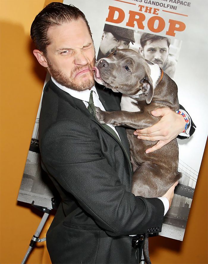 love-for-dogs-tom-hardy-25-59bf84c333bbe__700.jpg