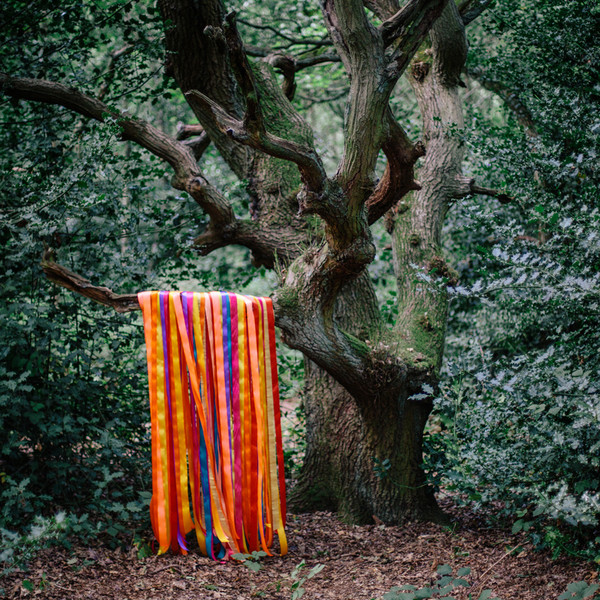 James Holden & The Animal Spirits – The Animal Spirits.jpg