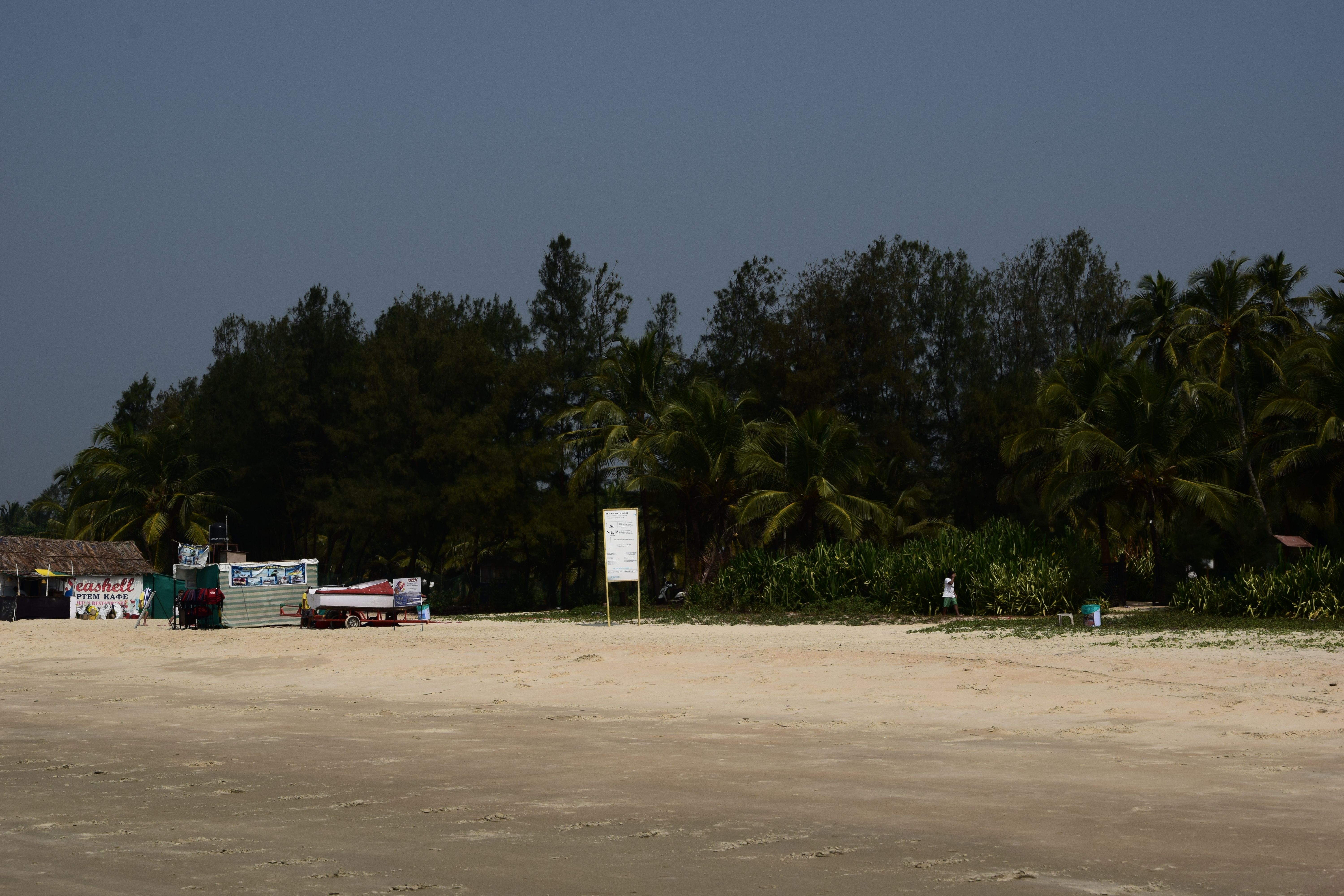 DSC_0540.JPG