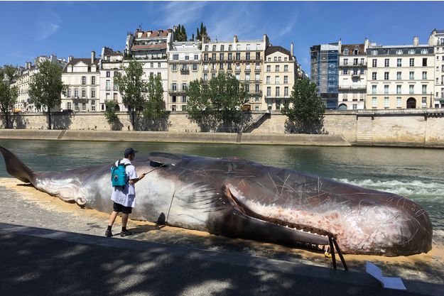 Une-baleine-echouee-en-plein-Paris.jpg