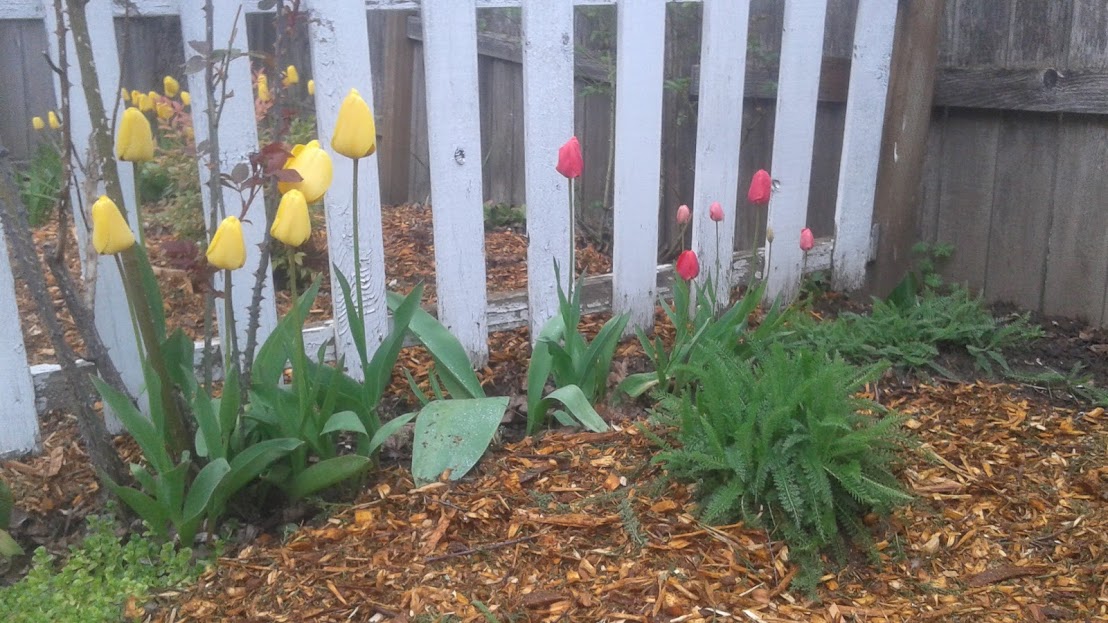 20180413_181914.jpg