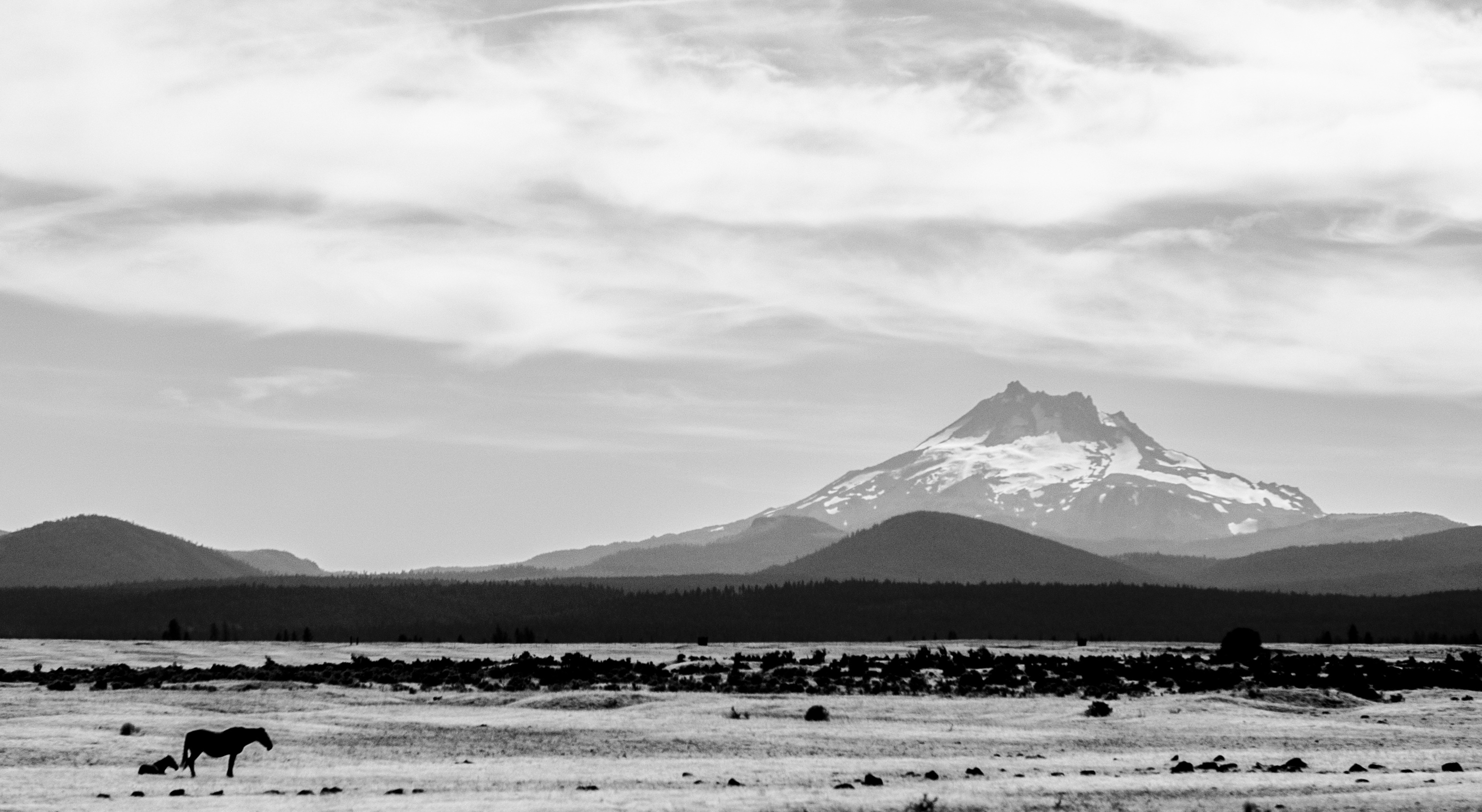 DSC_8654.jpg