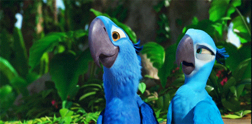 f6799a0012a3688a896a2ce7c001a953.gif
