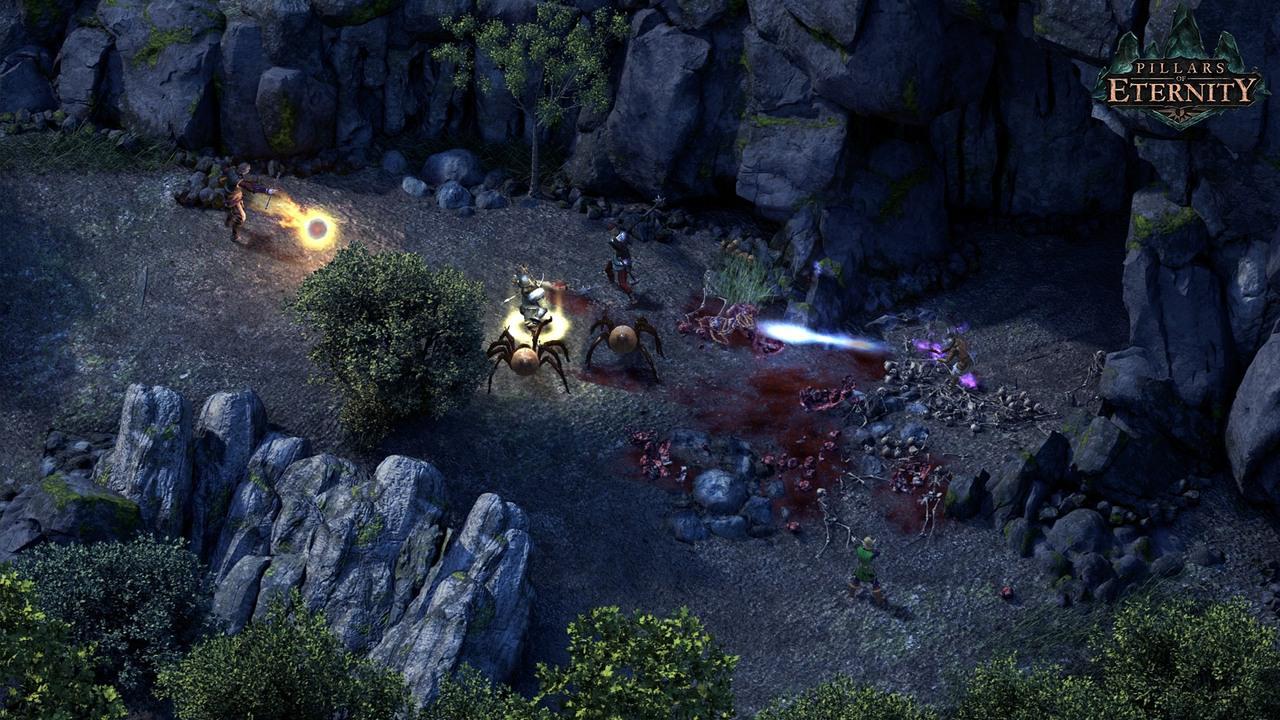 pillars-of-eternity-complete-edition-review-1506430815.jpg
