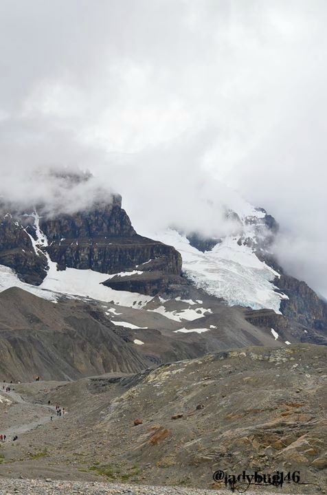 columbia ice fields4.jpg