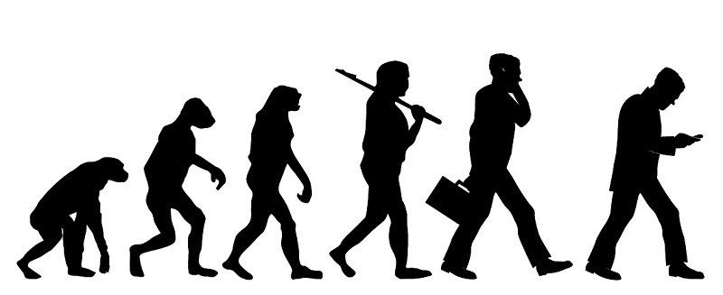 evolution_cropped.jpg