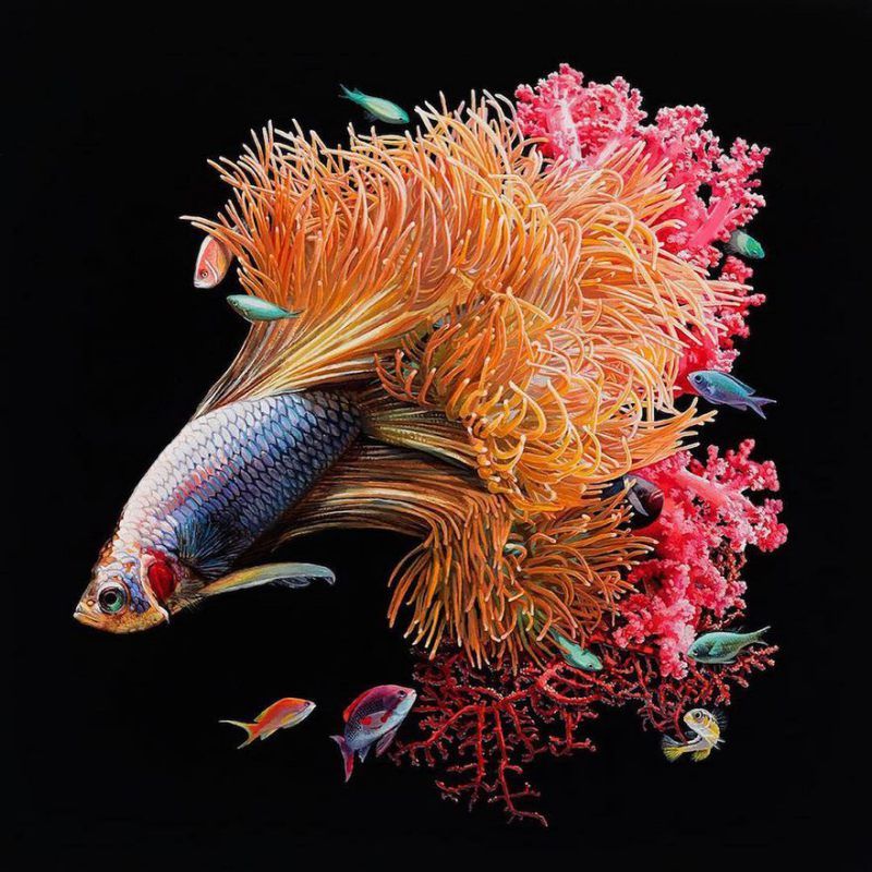 surreal-fish-art-lisa-ericson-8-58590108d3693__880.jpg