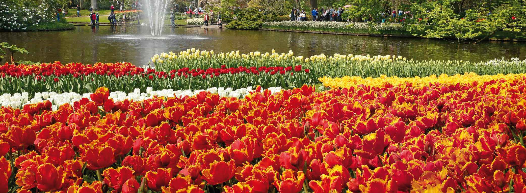 20170125103053_Keukenhof_gardens_Amsterdam_lisse_3.jpg