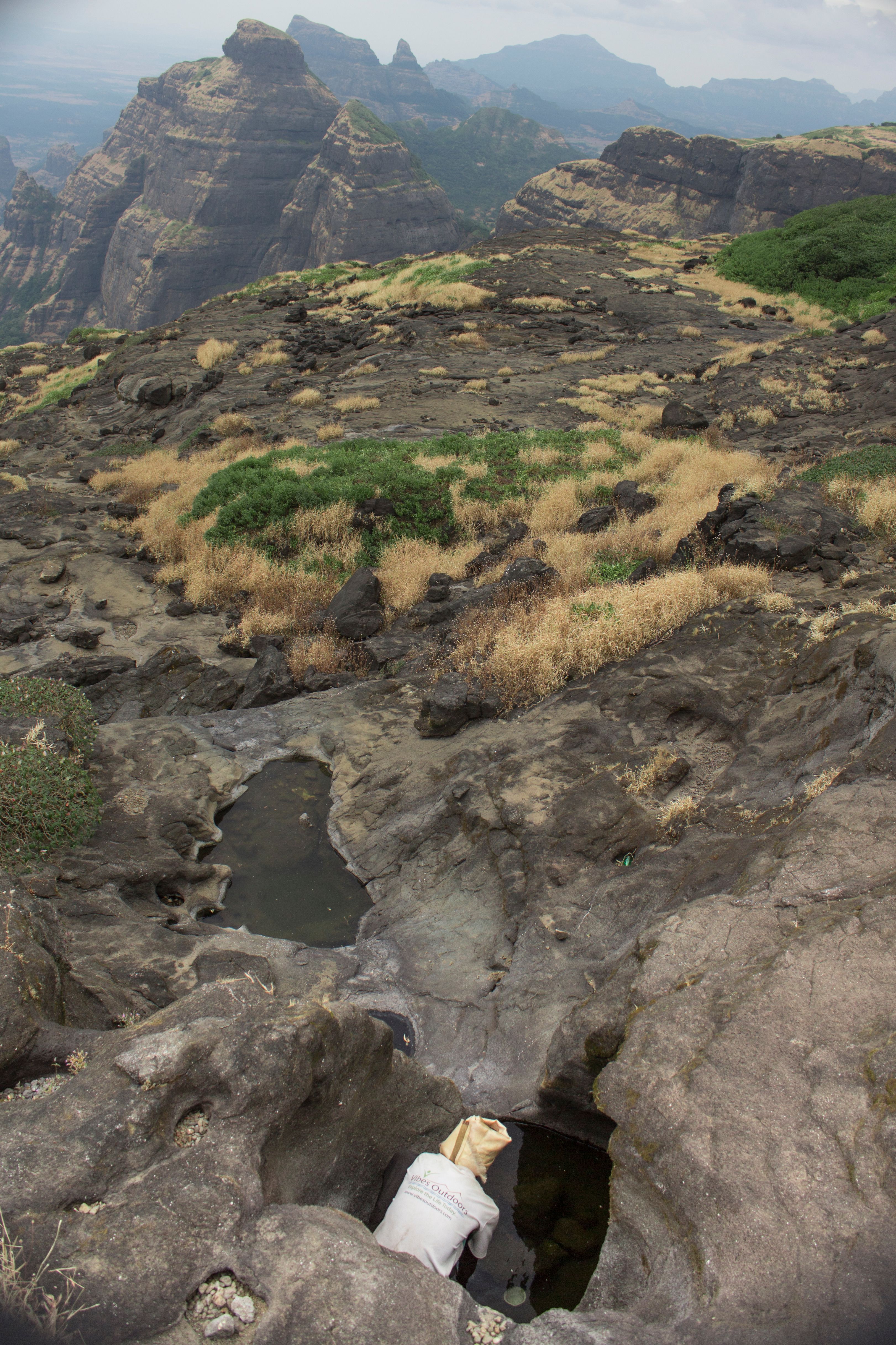 watering hole.jpg