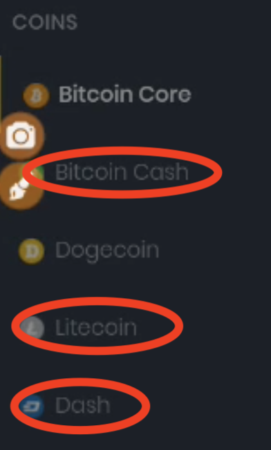 cvcoin10.png