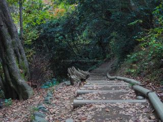 mount-takao-49-320x240.jpg