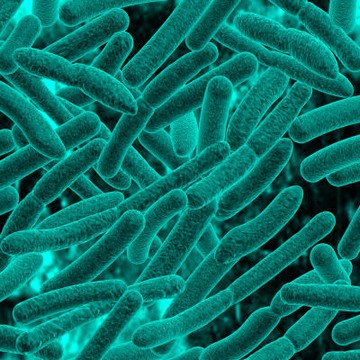 bacteria-1-1.jpg