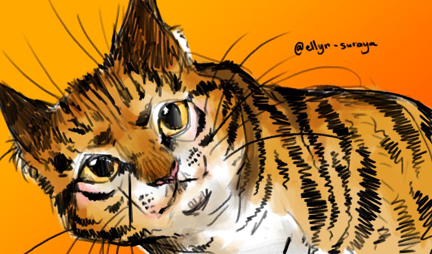 Daily Cat Drawings_15.jpg