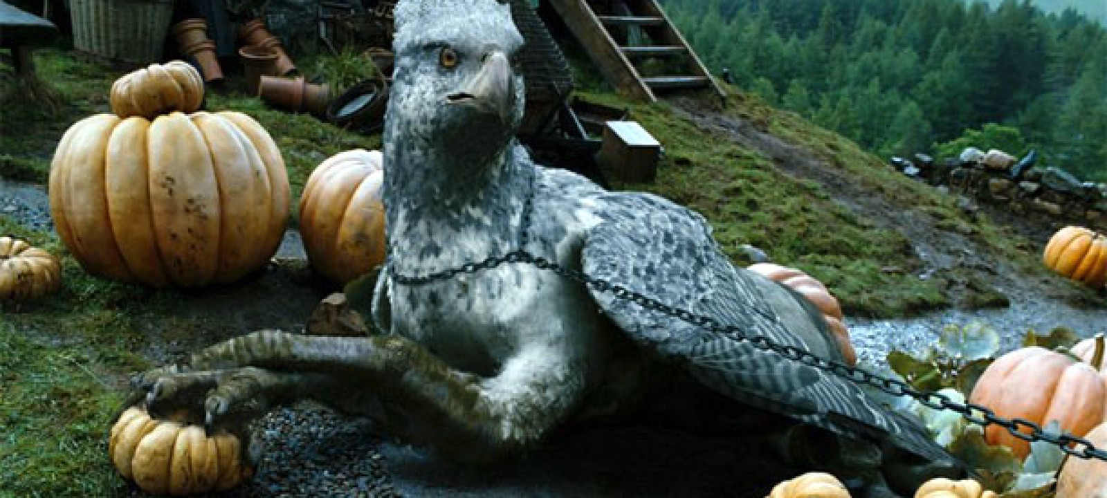 buckbeak-1600x720.jpg