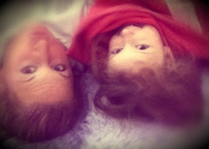 2013-05-30 16.28.25.jpg