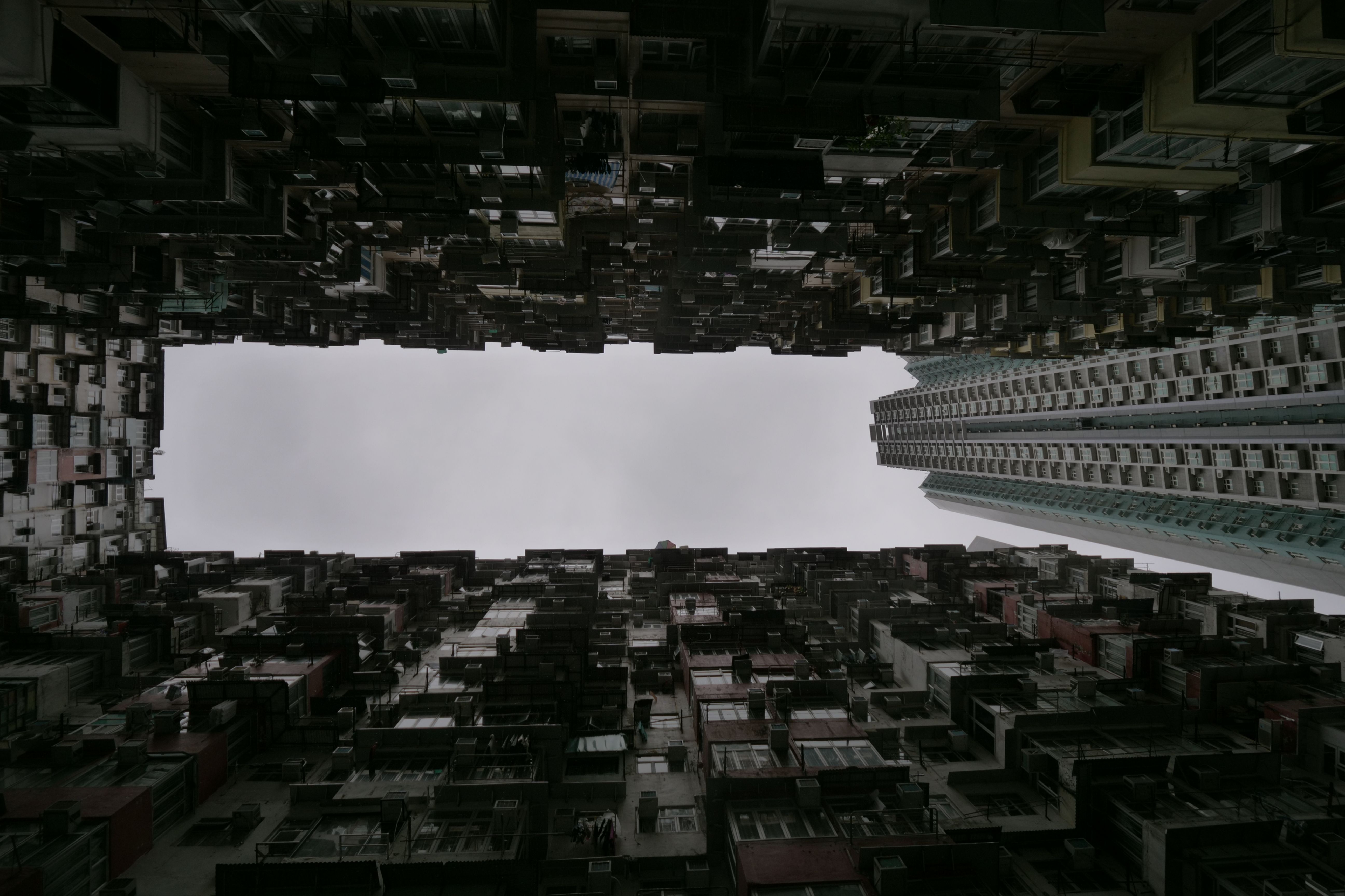P1000069.JPG