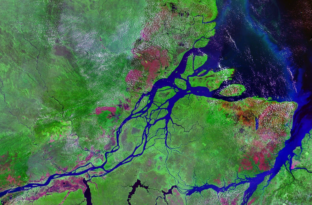 desembocadura-del-amazonas-en-una-foto-de-satelite-tomada-en-1990_66f83a09.png