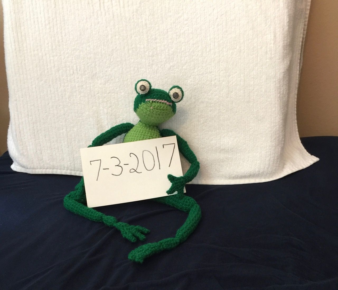 frog2 .jpg