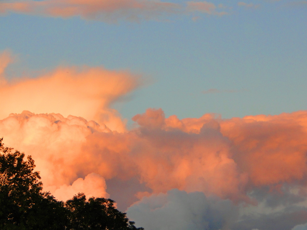 4994602530_88b7cebe75_o (FILEminimizer).jpg