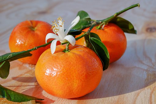 Tangerines-Citrus-Fruit-Clementines-Tropical-Fruit-3114765.jpg