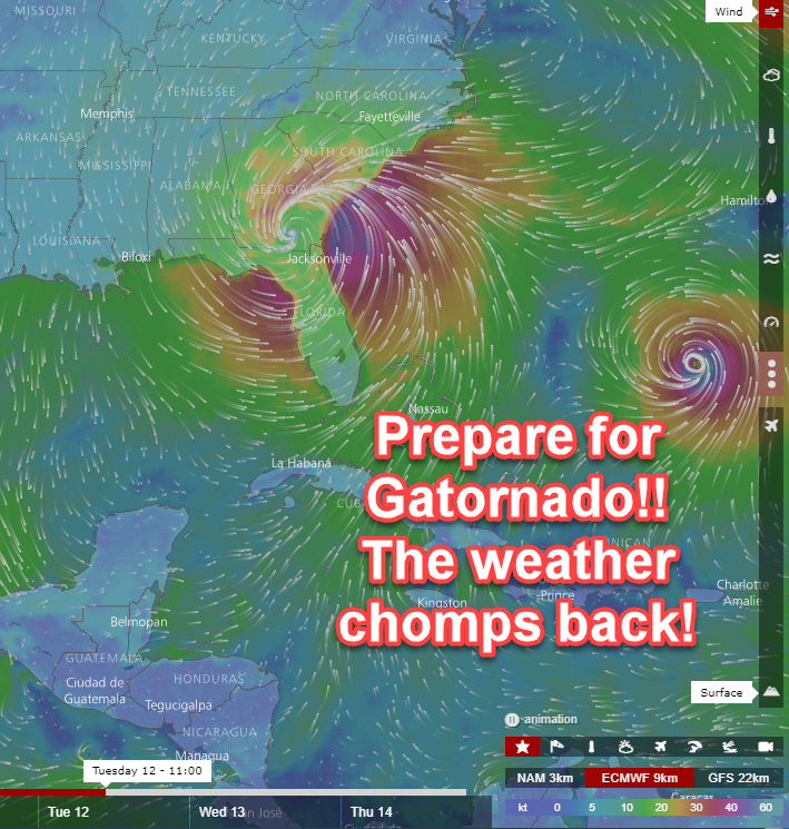 gatornado.png