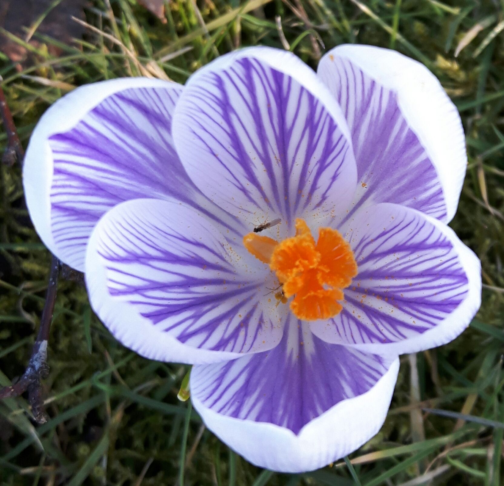 20180404_200033.jpg