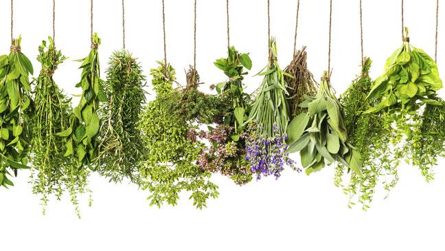 5-healing-herbs-you-need-to-eat-more-of-136403301409603901-160111131911.jpg