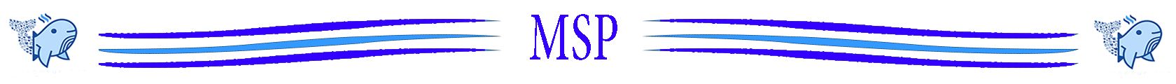 logo divide  msp.jpg