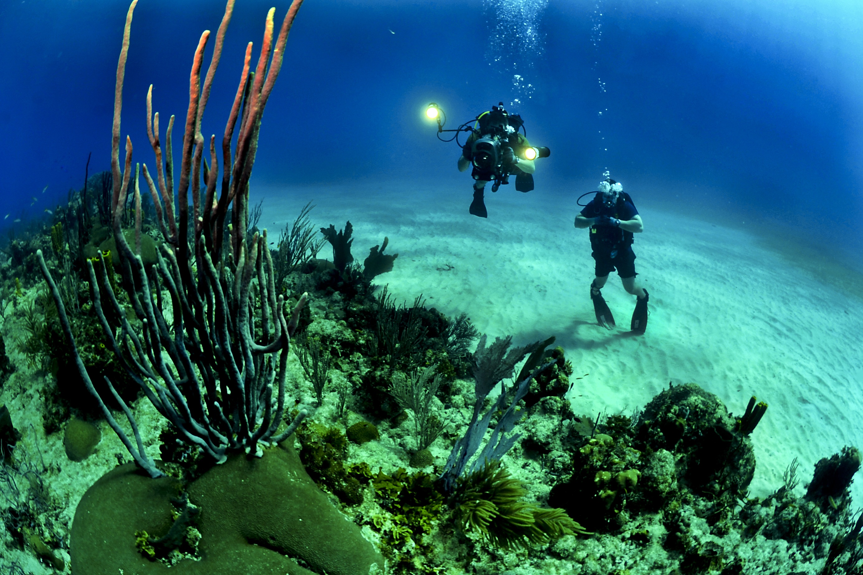 Scuba diving.jpeg