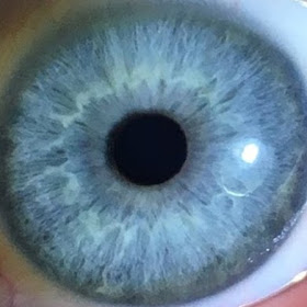 left eye ZG2.jpg